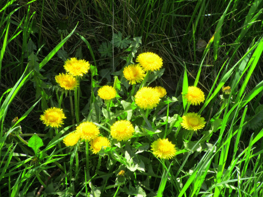 1503701 (a): :1920x1440